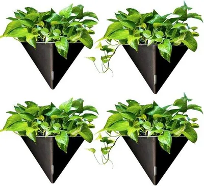 Produktbild von Schwarze Selbstbewassernde Wandblumenampel 12 Zoll