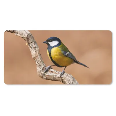Produktbild von MuchoWow® Schreibtischunterlage Vogel - Kohlmeise - Zweige 80x40 cm - XXL Mauspad - Gaming Mauspad
