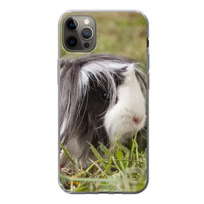 Produktbild von MuchoWow® Handyhülle Schutzhülle Hülle für iPhone 12 Pro Max Langhaar-Meerschweinchen Silikon Softcase Handy Hülle - Hartschale