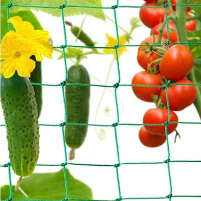 Produktbild von Ranknetz Kletterpflanzen Gartennetz Netz für Gurken Tomaten und Anderen Vogelschutznetz Gemüsepflanzen Rankhilfen Netz für Kletterpflanzen