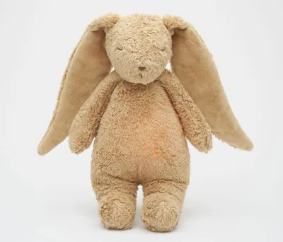 Produktbild von Moonie Bunny 2.0 Bio-Cappuccino
