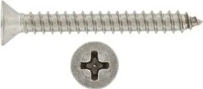 Obrázek produktu pro Šroub do plechu 4,2 x 45 DIN 7982C A2 nerez / balení 500 ks
