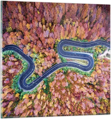 Produktbild von Bilder auf glas - Einteilig - Kurvenreich Weg Wald - 60x60cm - Glasbilder - Wandbilder - Bilder - zum Aufhängen bereit - Wanddekoration aus Glas - Glas Bilder - Wandbild auf Glas - GAC60x60-4291