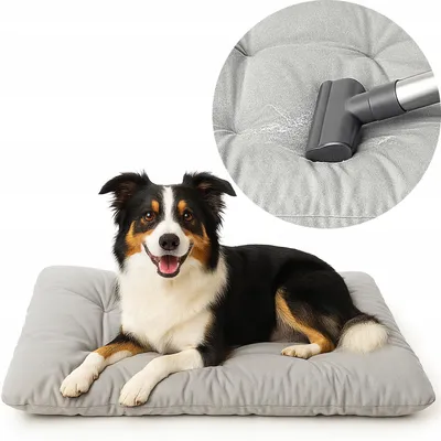 Produktbild von Superkissen24 BASIC Hundebett Mikrofaser Grau 70x50 cm