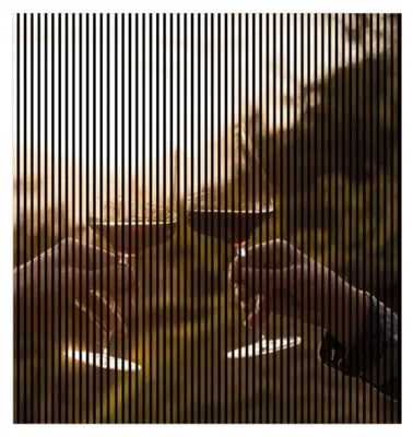 Produktbild von Akustikpaneele mit Digitaldruck Wein01 19 x 2253 x 2400 mm Weingläser Hande Natur MDF PET-Fasern Wandpaneele Grün Weiß Beige Rot 4 Einzelplatten