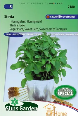 Produktbild von Stevia Honig Pflanze Honig Kräuter Samen - süßer natürlicher Zuckerersatz für Tee, Desserts und gesunde Gerichte - hohe Qualität und hoher Ertrag
