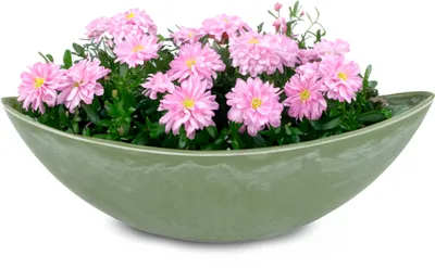 Produktbild von Große Pflanzschale oval 39 cm für draussen Dekoschale grün