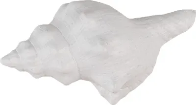 Zdjęcie produktu dla Gałka do drzwi Clayre & Eef 10x5x6 cm biały plastik