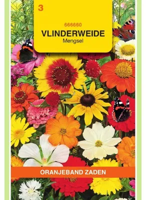 Immagine prodotto di Oranjeband Schmetterlingswiese - 1 confezione di semi