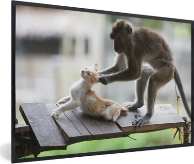 Produktbild von MuchoWow® MuchoWow® Gerahmtes Poster Katze - Affe - Holz 60x40 cm - Poster mit zchwarzem Bilderrahmen - Printing - Wanddeko Schlafzimmer