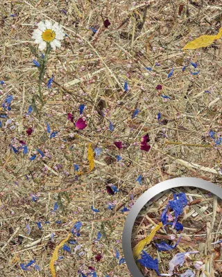 Produktbild von WallFace AL-11005 ALPINE POTPOURRI Tapete selbstklebend mit Almwiesen-Einrichtungs 4m2