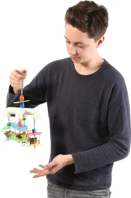 Produktbild von Papageienspielzeug Hide out · Foraging für Papageien & Sittiche