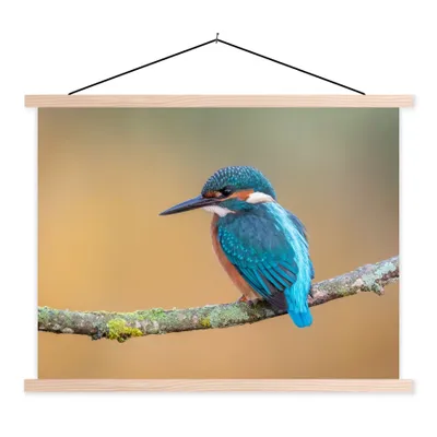 Produktbild von MuchoWow® Textilposter Vogel - Eisvogel - Tiere - Zweig 120x90 cm mit holzfarbenen Rahmen - Magnetisch