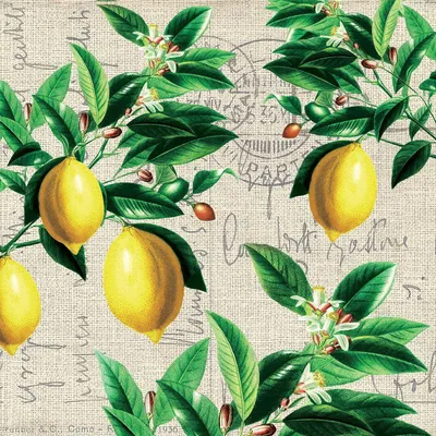 Produktbild von 20 Servietten Capri - Vintage-Zitronen 33x33cm