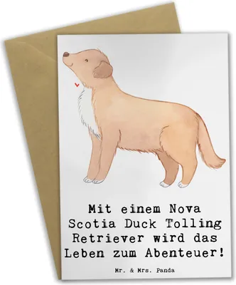 Produktbild von Mr. & Mrs. Panda babykarte Nova Scotia Duck Abenteuer - Weiß - Geschenk, Energie, Grußkarten, intelligenter Hund, Hunderasse, lebhafter, Hunderassen Charakter, loyaler