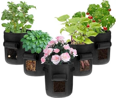 Produktbild von Unyqoos® 5er-Set Pflanzsäcke mit Erntefenster – schwarze, UV-beständige Vlies-Pflanztaschen für Kartoffeln & Gemüse, wiederverwendbar, mit verstärkten Tragegriffen