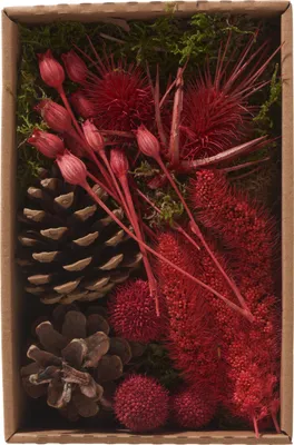 Produktbild von Trockenblüten Potpourri Set "Red", 100 g