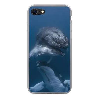 Produktbild von MuchoWow® Handyhülle Schutzhülle Hülle für iPhone SE 2020 Wale - Meer - Familie Silikon Softcase Handy Hülle - Kartenbesitzer