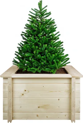 Zdjęcie produktu dla Podwyższona grządka drewniana - 58x58xH35 cm - Podwyższone grządki do ogrodu - Grządka na zioła - Drewniana skrzynka na kwiaty - Lite drewno sosnowe/świerkowe 28 mm - TIMBELA M616-1