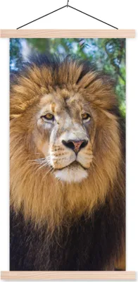Produktbild von MuchoWow® Textilposter Löwe - Natur - Tier 60x120 cm mit holzfarbenen Rahmen - Holz
