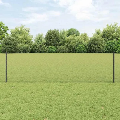 Immagine prodotto di Recinzione in Rete Saldato 50 x 0,6 m (L x H)