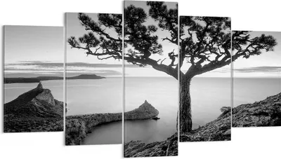 Produktbild von Bild auf Leinwand - Leinwandbild - 5 Teile - Baum Schwarzweiß Ansicht - 160x85cm - Wand Bild - Wanddeko - Wandbilder - Leinwanddruck - Bilder - Wanddekoration - Leinwand bilder - EA160x85-4297