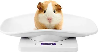 Produktbild von PET -Skala, digitales Tiermessskalen LCD Display 4 Gewichtsmodi kleine Katzen, Hunde, Hamster, Lebensmittel, 10 kg/1 g