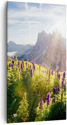 Produktbild von Bild auf Leinwand - Leinwandbild - Berge Wiese Blumen - 55x100cm - Wand Bild - Wanddeko - Leinwanddruck - Bilder - Kunstdruck - Wanddekoration - Leinwand bilder - Wandkunst - PA55x100-4008