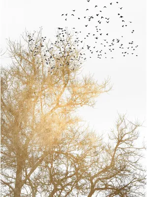 Produktbild von Tadessi Fototapete | Baum | 2.00 m x 2.80 m | Gold | Weiß | Wandbild | Digitaldruck