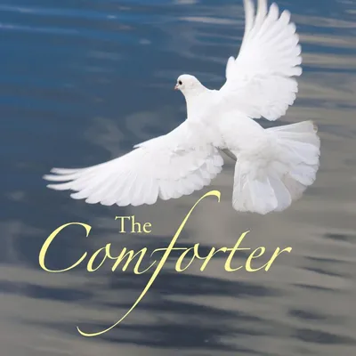 Produktbild von The Comforter