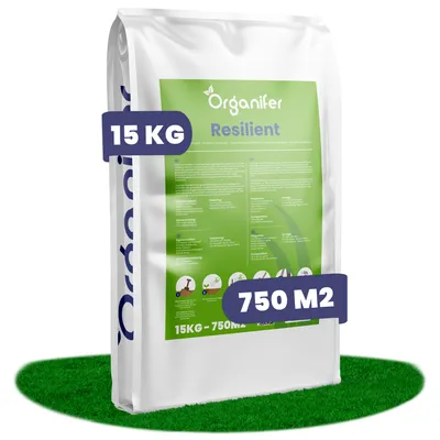 Obrázok produktu pre Osivo na opravu trávnika – odolné (15 kg na 750 m2)