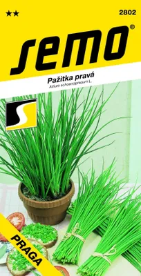 Obrázek produktu pro Pažitka - Praga 1,8g