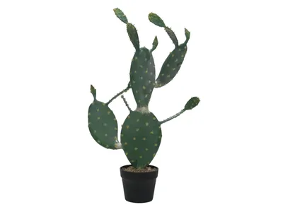 Immagine prodotto di EUROPALMS cactus a foglia, pianta artificiale, 76 cm (82600064)