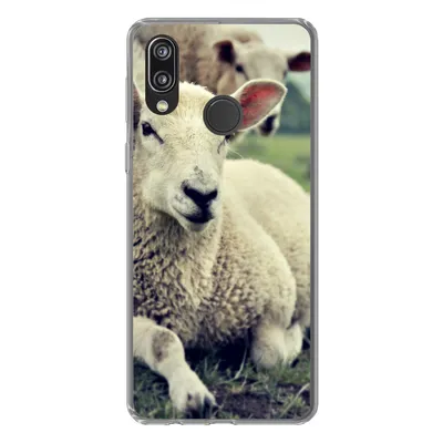 Produktbild von MuchoWow® Handyhülle Schutzhülle Hülle für Huawei P20 Lite (2020) Schaf - Lamm - Gras Silikon Softcase Handy Hülle - Kartenhalter