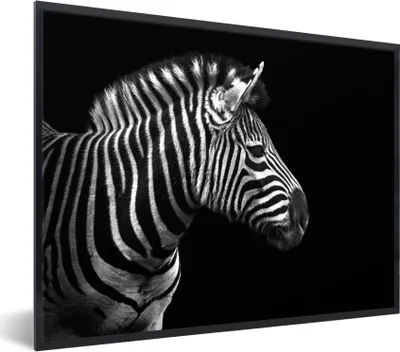 Produktbild von MuchoWow® Gerahmtes Poster Zebra - Schwarz - Weiß - Porträt - Tiere 80x60 cm - Poster mit Schwarzem Bilderrahmen Wandposter Rahmen Foto Bilder - Schwarzem - Mit Gestell