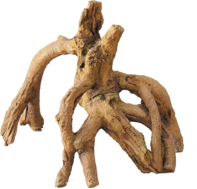 Immagine prodotto di Aqua d'ella radice di mangrovia 17×11,5×14 cm poliresina
