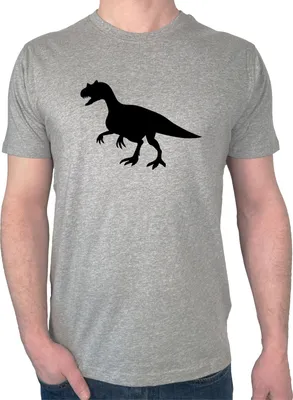 Produktbild von Huuraa Herren T-Shirt Allosaurus Dinosaurier 3XL Sport Grey Bio Baumwolle Fairtrade Herrenshirt Geschenkidee