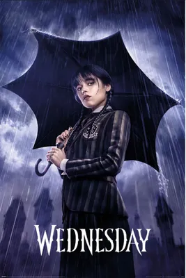 Produktbild von Wednesday - Poster "Downpour" TA10423 (91 cm x 61 cm) (Violett/Weiß)