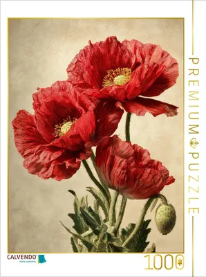 Produktbild von CALVENDO Puzzle Ein Motiv aus dem Kalender Zeitlose Blütenpracht | 1000 Teile Lege-Größe 64x48cm Foto-Puzzle für glückliche Stunden