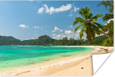 Produktbild von MuchoWow® Poster Tropisch - Wasser - Blau 120x80 cm - Bilder