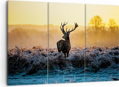 Produktbild von Bild auf Leinwand - Leinwandbild - Feld Nebel Natur Baum - 105x70cm - Wand Bild - Wanddeko - Leinwanddruck - Bilder - Kunstdruck - Wanddekoration - Leinwand bilder - Wandkunst - CE105x70-2428