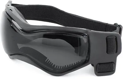 Produktbild von Sonnenschutzbrille für kleine Hunde, UV-schutzbrille für kleine Hunde, Fahrradbrille für kleine Hunde, schwarz