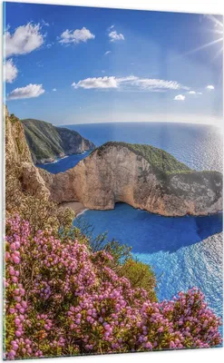 Produktbild von Bilder auf glas - Einteilig - Meer Sommer Blume - 70x100cm - Glasbilder - Wandbilder - Bilder - zum Aufhängen bereit - Wanddekoration aus Glas - Glas Bilder - Wandbild auf Glas - GPA70x100-3741