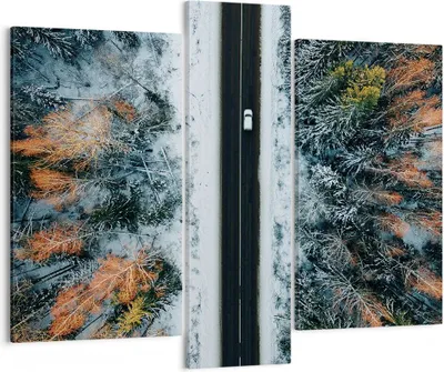 Produktbild von Bild auf Leinwand - Leinwandbild - 3 Teile - Wald Weg Schnee - 95x80cm - Wand Bild - Wanddeko - Wandbilder - Leinwanddruck - Bilder - Wanddekoration - Leinwand bilder - Wandbild - CB95x80-4654