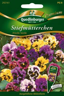 Artikelbild 1 von 'Stiefmütterchen Frizzle Sizzle' aus der Kategorie Stiefmütterchensamen