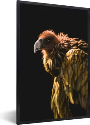 Produktbild von MuchoWow® Gerahmtes Poster Geier - Raubtier - Vogel 40x60 cm - Poster mit Schwarzem Bilderrahmen Wandposter Rahmen Foto Bilder - Papierdruck - Wandbilder