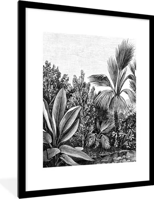 Produktbild von MuchoWow® Gerahmtes Poster Pflanzen - Natur - Gestaltung - Illustration - Ernst Haeckel 60x80 cm - Poster mit Schwarzem Bilderrahmen Wandposter Rahmen Foto Bilder - Wohnzimmer - Dekorationen - Prämie