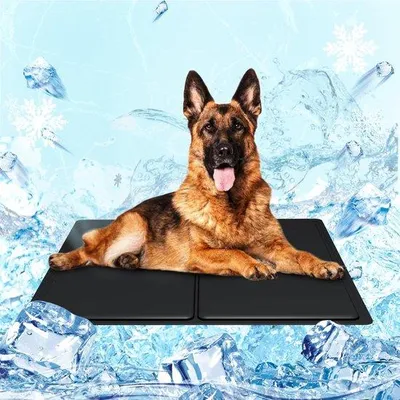 Produktbild von Famanu Kühlmatte 40 x 50 cm - Selbstkühlend für Hunde und Katzen