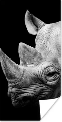 Produktbild von MuchoWow® Poster Tiere - Nashorn - Schwarz - Weiß - Porträt 60x120 cm - Wandschmuck