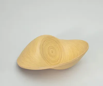 Productafbeelding van Schotel Solvia, 30x27 cm